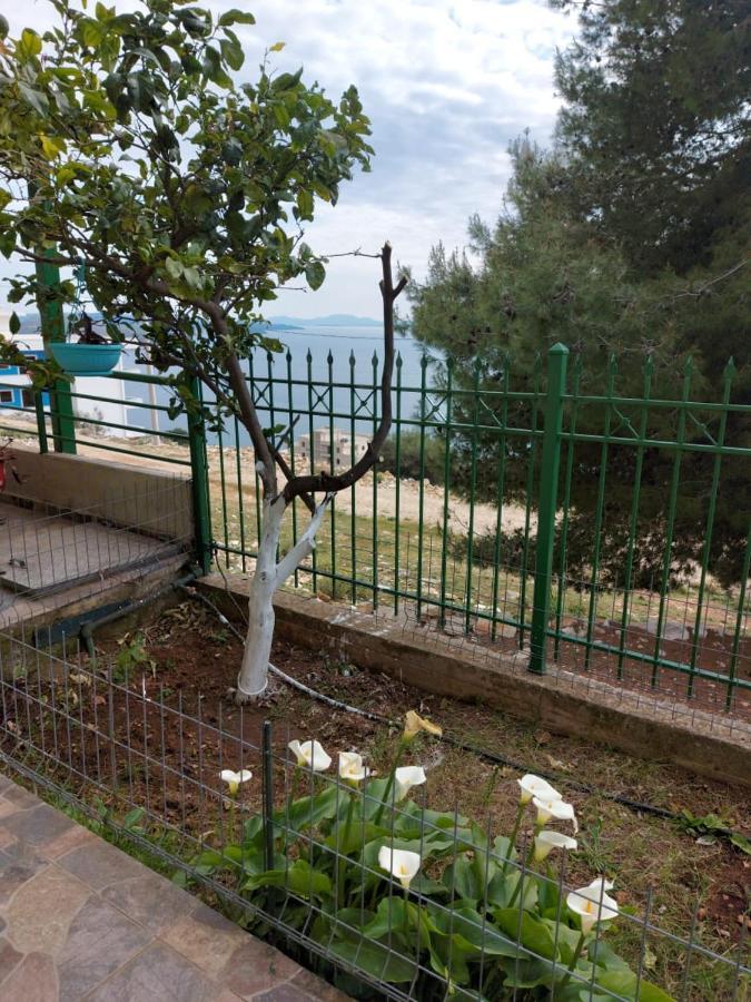 Villa Luiza Sarandë Eksteriør billede